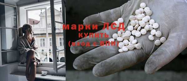 прущие грибы Арсеньев