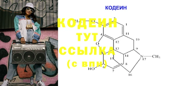 прущие грибы Арсеньев