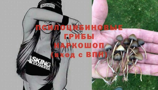 а пвп мука Армянск