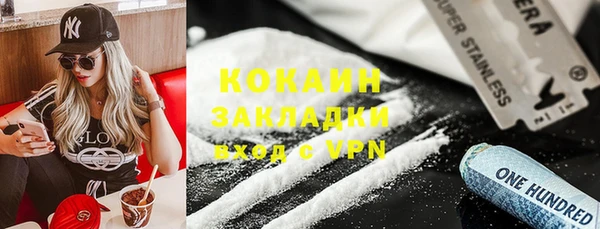 прущие грибы Арсеньев